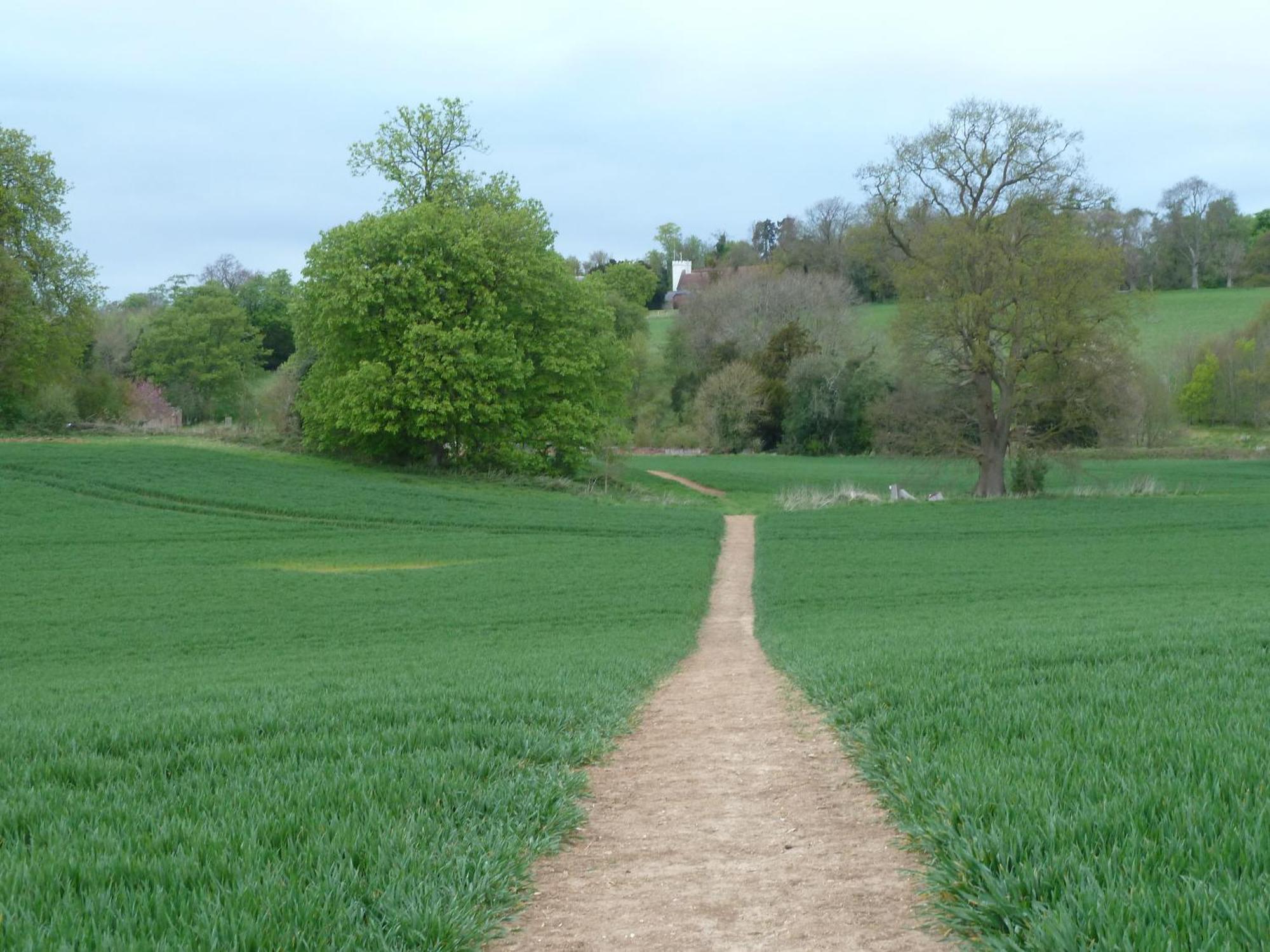 Palace Farm Courtyard And Granary Rooms Doddington  外观 照片